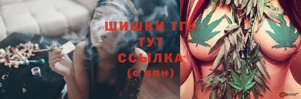 стаф Мегион