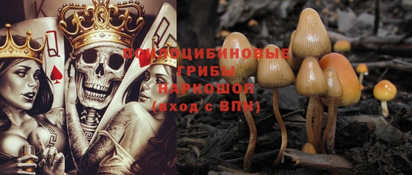 PSILOCYBIN Медногорск