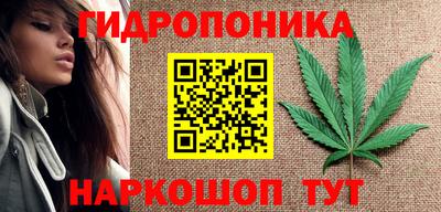 гашиш Новозыбков