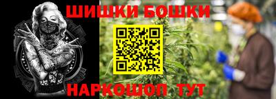 соль ск Новодвинск
