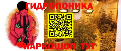 каннабис Новокубанск