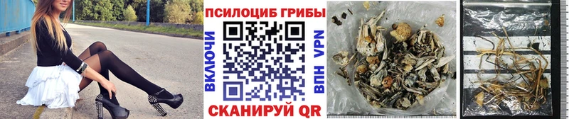 Псилоцибиновые грибы мицелий Элиста