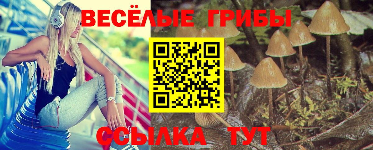 Элиста  Псилоцибиновые грибы Magic Shrooms  Вход с VPN 