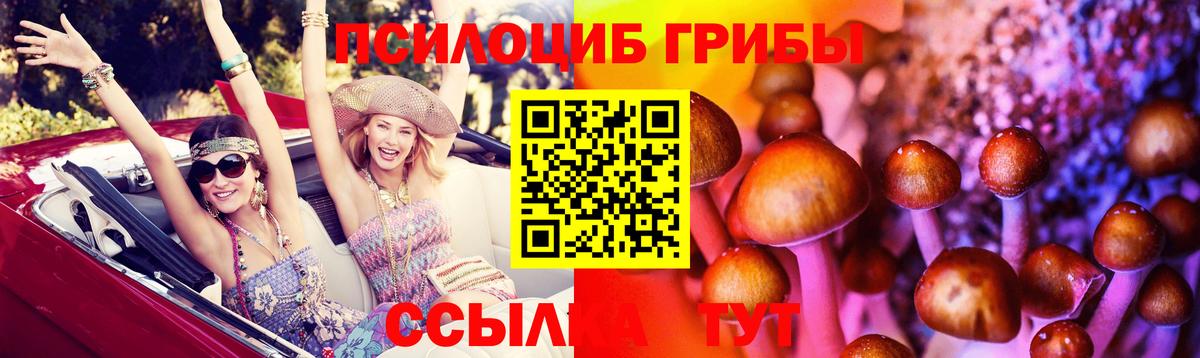 Псилоцибиновые грибы Psilocybine cubensis Элиста