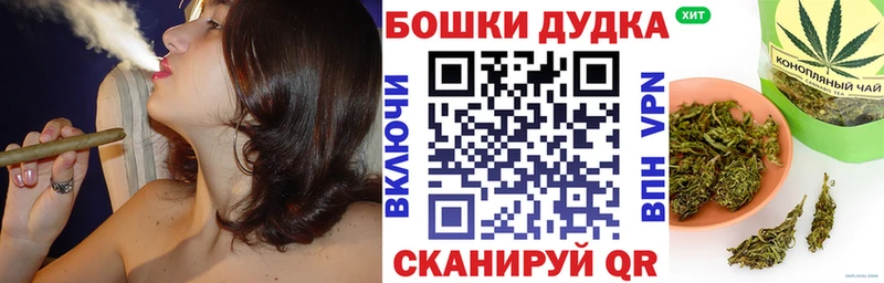 Конопля сатива Элиста